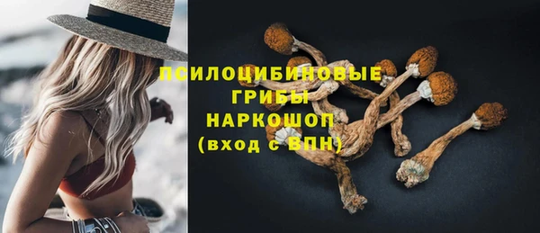 a pvp Богородск