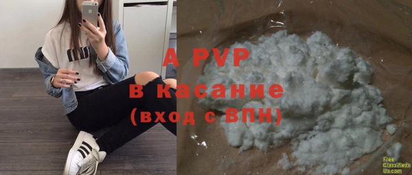 метадон Богданович