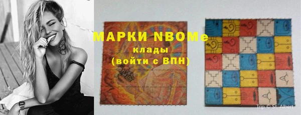 метадон Богданович