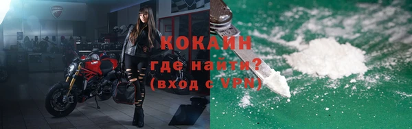 метадон Богданович
