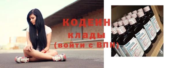 метадон Богданович