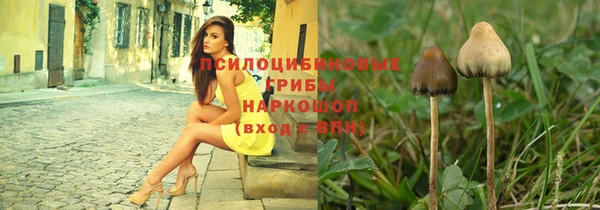 метадон Богданович