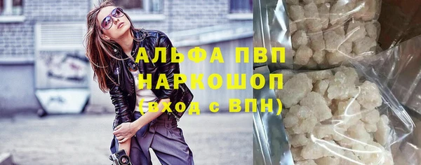 метадон Богданович
