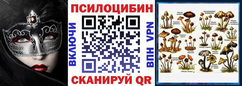 blacksprut ТОР  закладка  маркетплейс официальный сайт  Галлюциногенные грибы Magic Shrooms  Дюртюли 